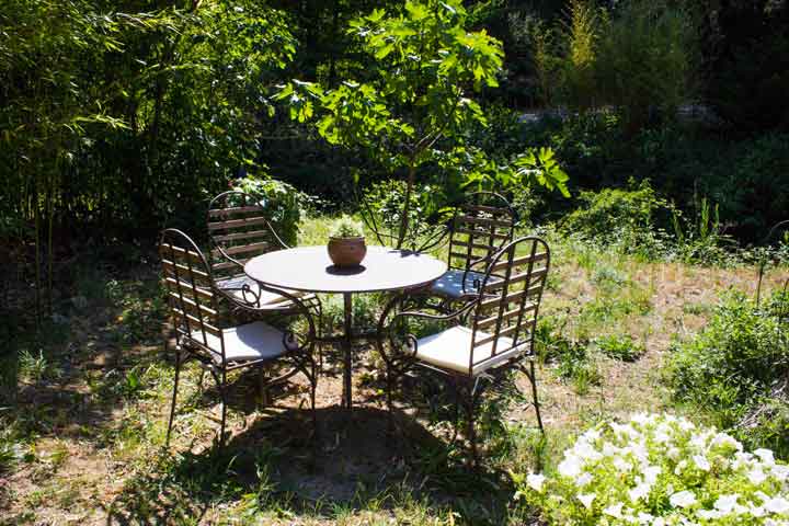 Many places in the garden for picnic